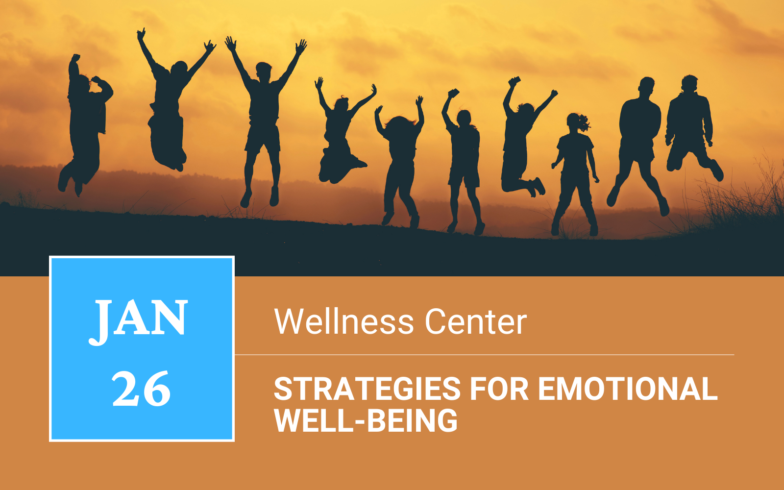 Discussion: Strategies for Emotional Well-Being